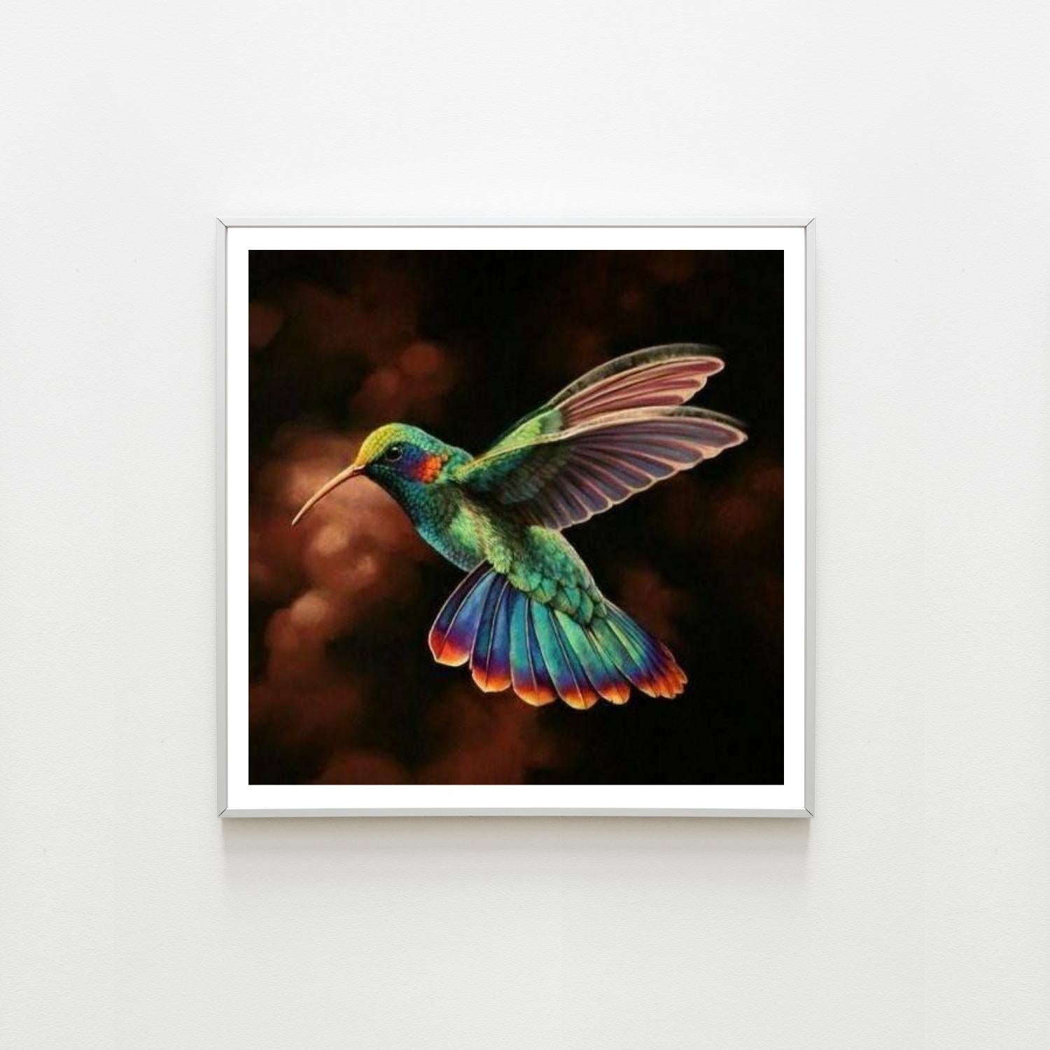 Oiseaux