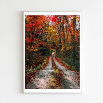 Diamond Painting Route d'Automne