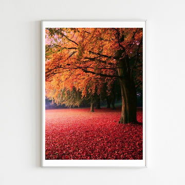 Diamond Painting Arbre Automne