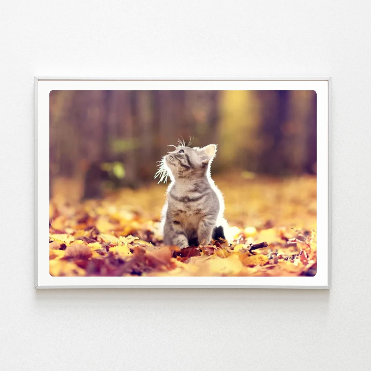Diamond Painting Chaton Automne