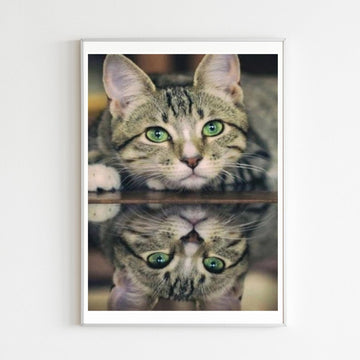 Diamond Painting Chat aux Yeux Verts