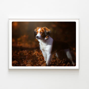 Diamond Painting Chien Automne