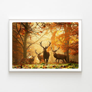 Diamond Painting Cerfs Automne