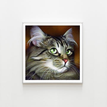 Diamond Painting Chat type Maine Coon